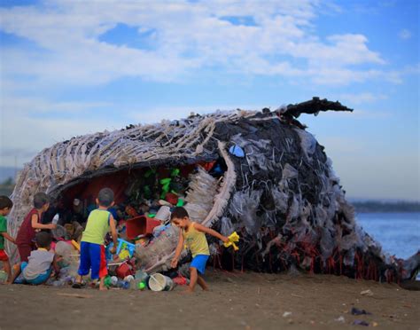 whales dieing from plastic bags fake science|Dead whale found with 40 kilograms of plastic in its guts.